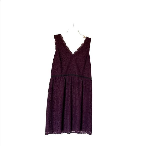 NWT LOFT purple lace dress, lined, plus size 14, purple - Picture 1 of 9
